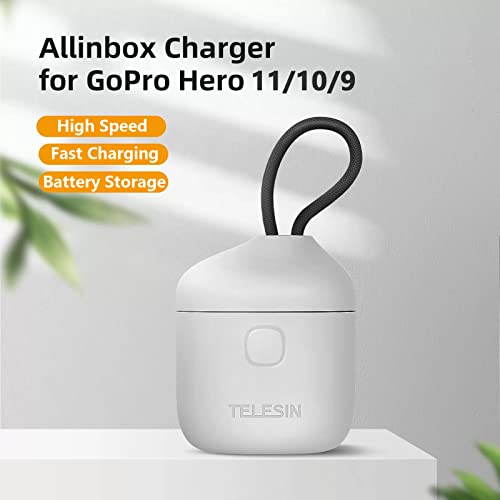 Telesin 2-Pack Batteries and Allin Box Battery Charger Bundle for GoPro HERO11/10/9