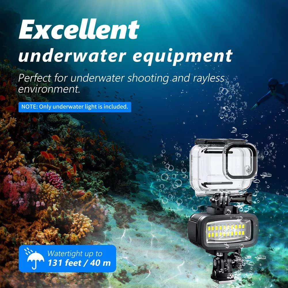 Seafrogs 40 Meters Depth Waterproof Diving Light with Cold Shoe Mount For GoPro Insta360 DJI Action Sony Canon Cameras 700 Lumen High Brightness Fill Light