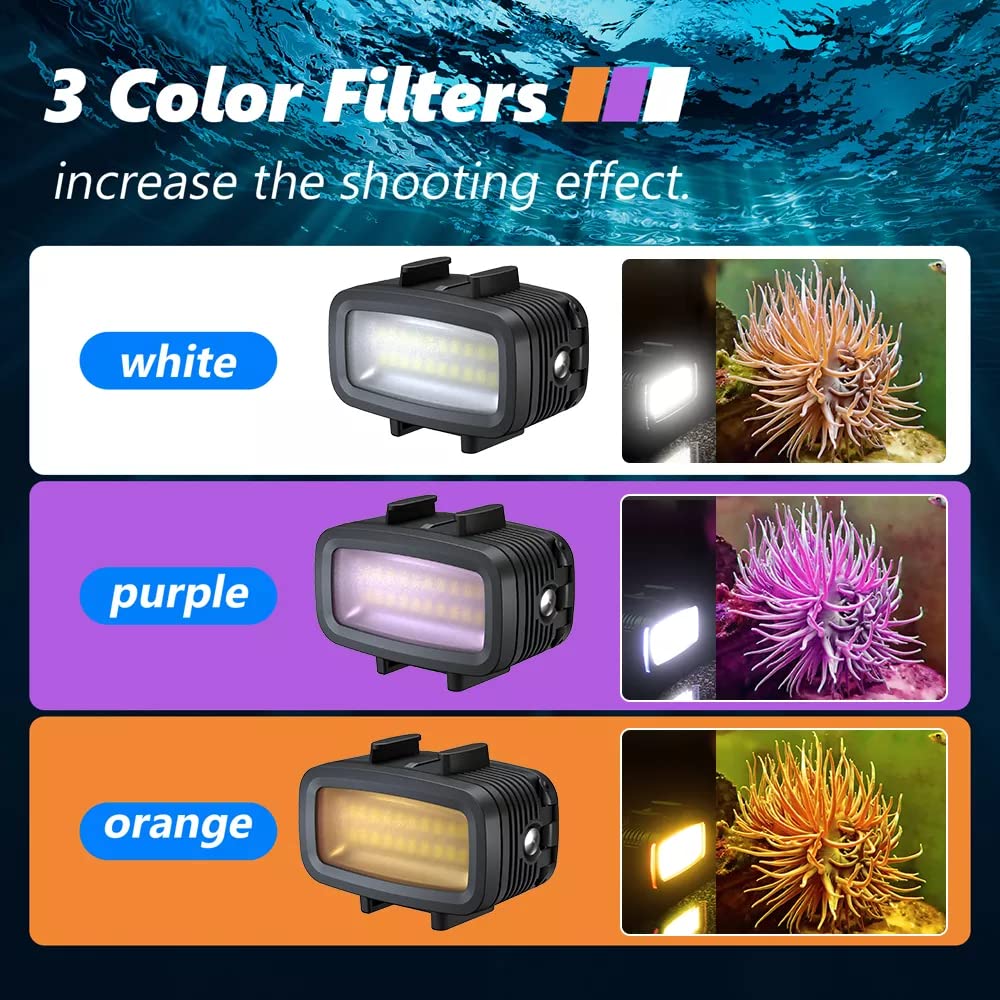 Seafrogs 40 Meters Depth Waterproof Diving Light with Cold Shoe Mount For GoPro Insta360 DJI Action Sony Canon Cameras 700 Lumen High Brightness Fill Light